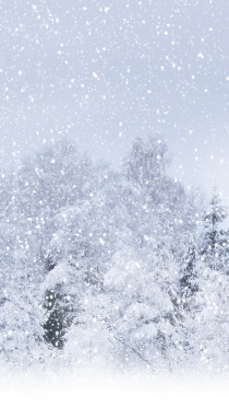 «Зимние пейзажи» — набор обоев для Lumia 950 и 950 XL