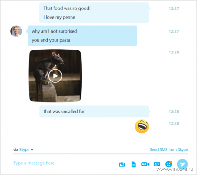  Skype  Windows      