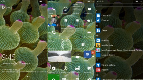    Windows 10 Mobile  