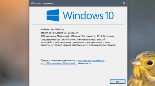 Некоторые пользователи Windows 10 получили ещё одно накопительное обновление