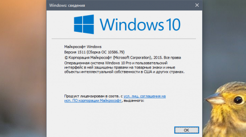   Windows 10     