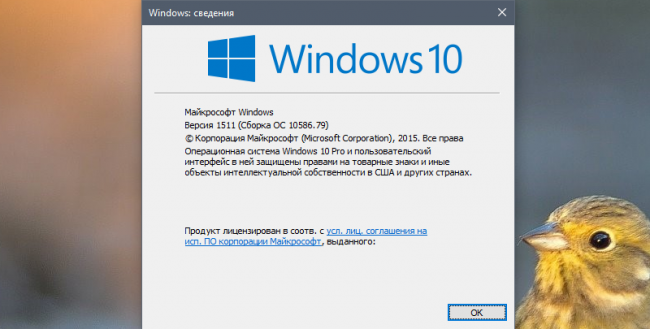 Некоторые пользователи Windows 10 получили ещё одно накопительное обновление