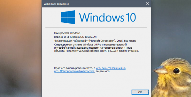   Windows 10     