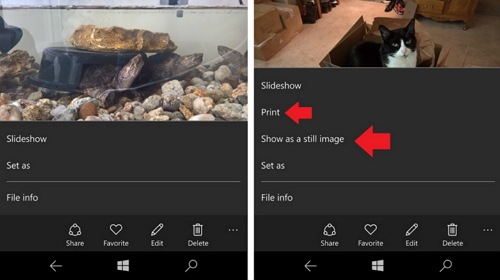 Обновились приложения «Фотографии» и «Камера» для Windows 10 Mobile
