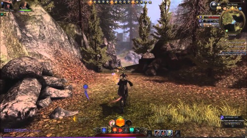 Neverwinter   Windows 10