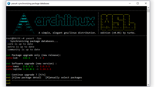  Windows 10  Arch Linux