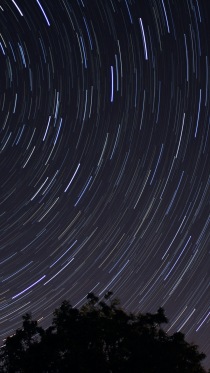 Star Trail      