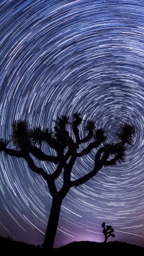 Star Trail      