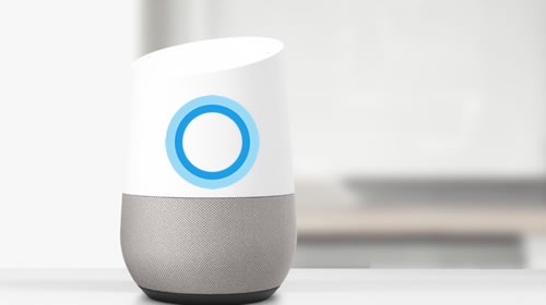 Microsoft    Amazon Echo  Google Home