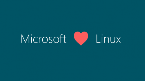 Microsoft    Linux Foundation