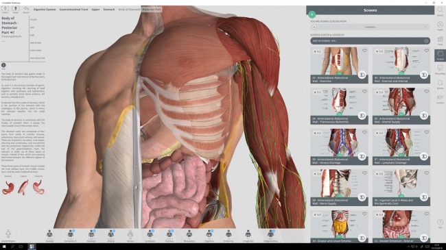 Для Windows выпущен интерактивный атлас анатомии человека Complete Anatomy