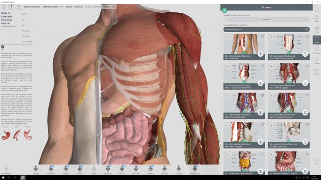  Windows      Complete Anatomy