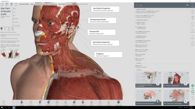  Windows      Complete Anatomy