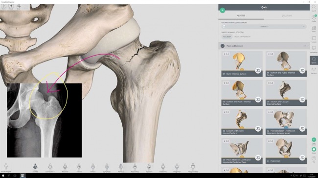 Для Windows выпущен интерактивный атлас анатомии человека Complete Anatomy