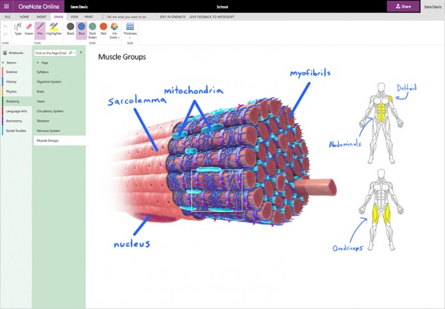   Office 365:   Excel,   OneNote Online   