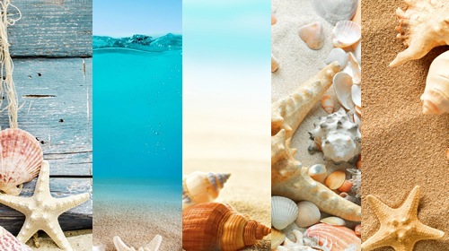 Seashells and Sand        