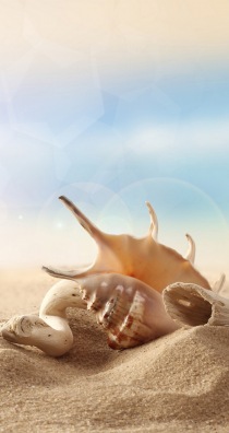Seashells and Sand — немного моря и песка для мобильных устройств