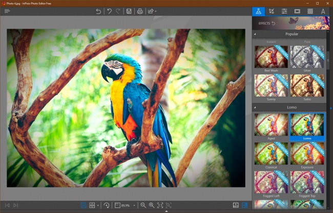 InPixio Photo Editor      