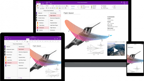  OneNote   