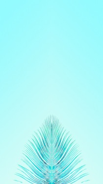 Candy Minimal     