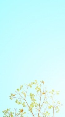 Candy Minimal     