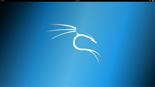  Microsoft Store  Kali Linux