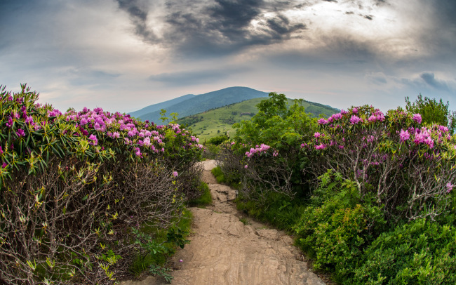 Take a Hike    !