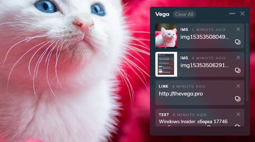Vega Clipboard — менеджер буфера обмена для нетребовательных пользователей