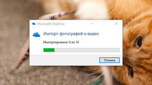           OneDrive?