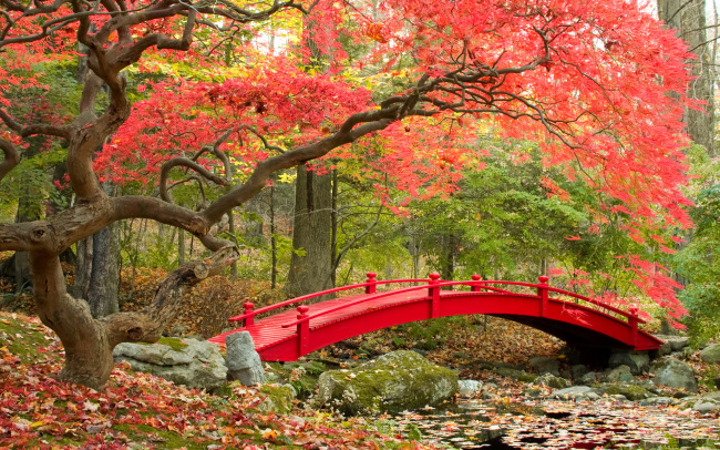 Bridges in Autumn     