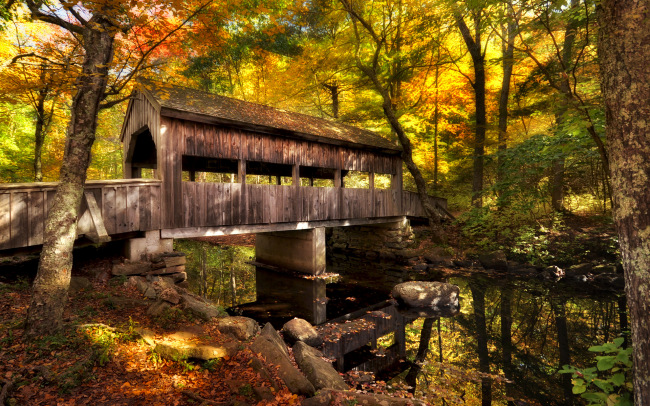 Bridges in Autumn     