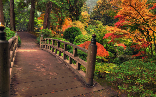 Bridges in Autumn     