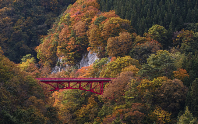 Bridges in Autumn     