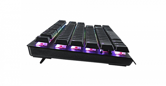 Tesoro GRAM Spectrum TKL    