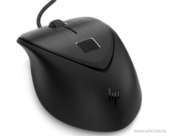 HP USB Fingerprint Mouse      Windows Hello