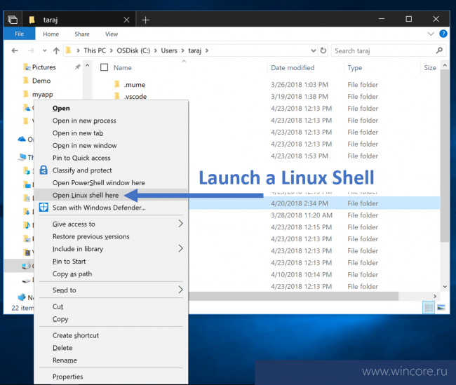 Windows 10 October 2018 Update: новшества для Подсистемы Windows для Linux