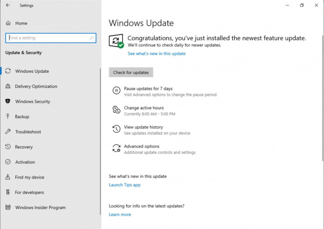 Windows Insider:    Windows,        