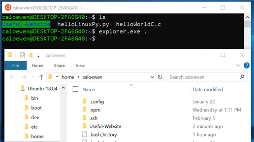 Windows Insider:   , WSL  Sandbox