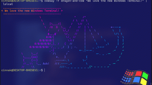  Windows Terminal Preview     