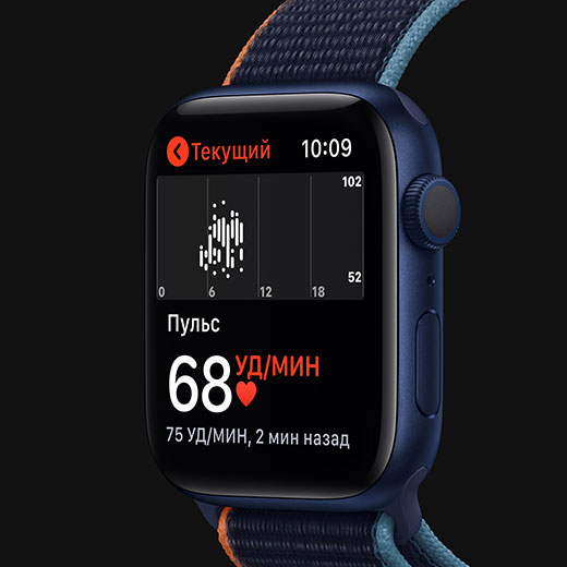 - Apple Watch Series 6