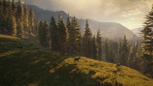 Epic Games Store отдаёт бесплатно симулятор охоты theHunter: Call of the Wild