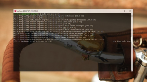 � ������ Windows 10 ����� ���� Linux